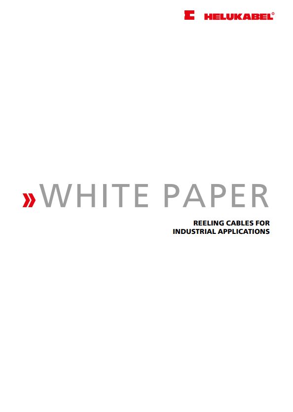 White Paper English