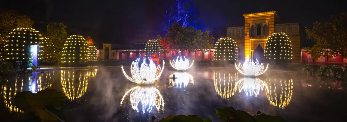 Illuminated christmas garden in Wilhelma Stuttgart