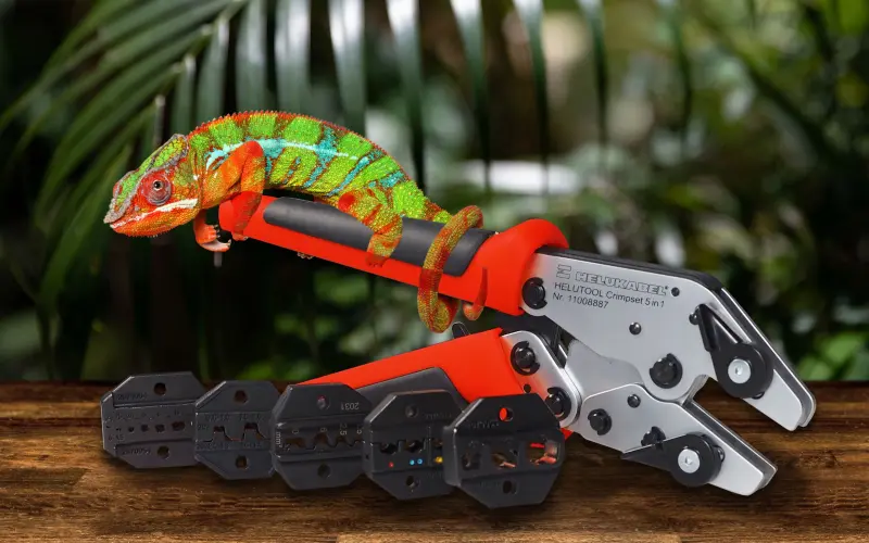 Chameleon sitting on a crimping tool