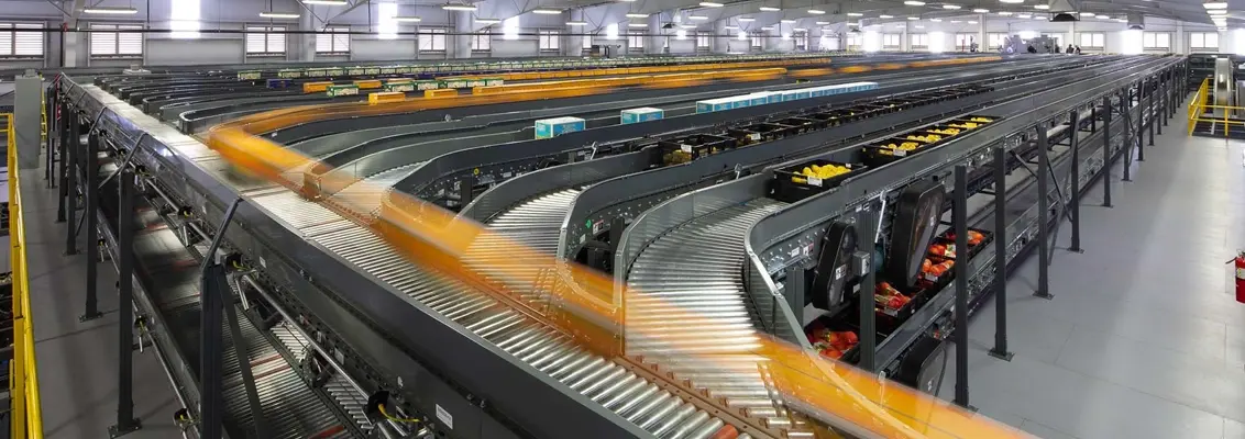 Logistics hall with multitrack conveyor belt