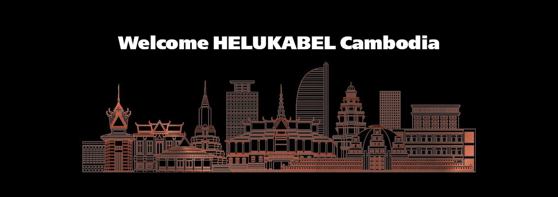 Established Subsidary in Cambodia