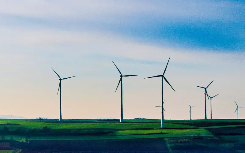 Turbine eoliene în câmp